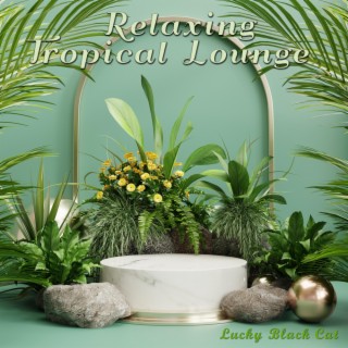 Relaxing Tropical Lounge