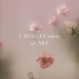 I Forget Where We Are