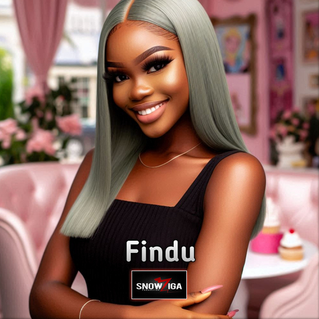 Findu | Boomplay Music