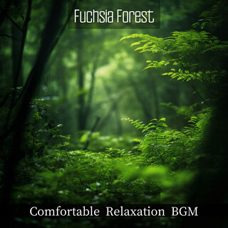 Comfortable Relaxation BGM