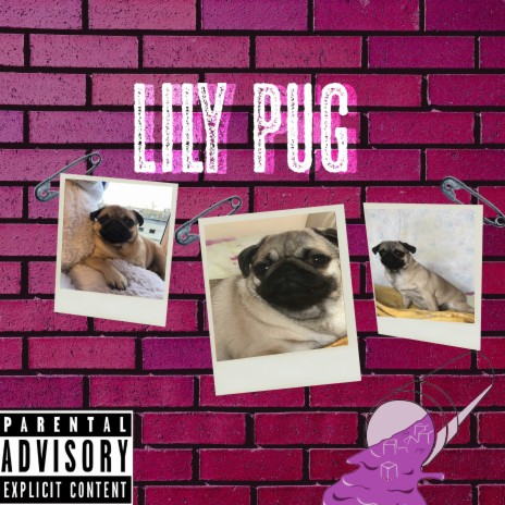 Lily Pug | Boomplay Music