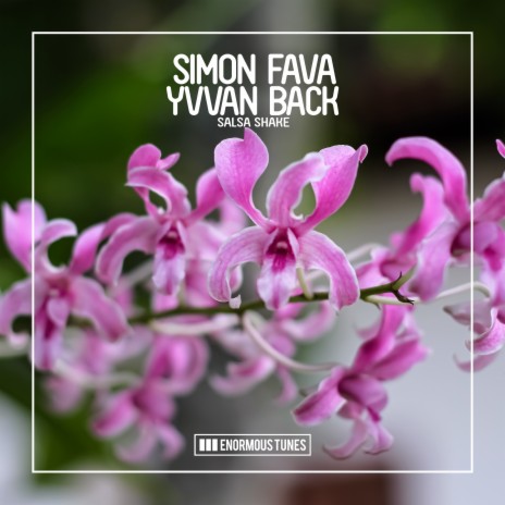 Salsa Shake (Extended Mix) ft. Yvvan Back | Boomplay Music