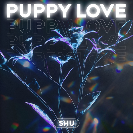 Puppy Love | Boomplay Music