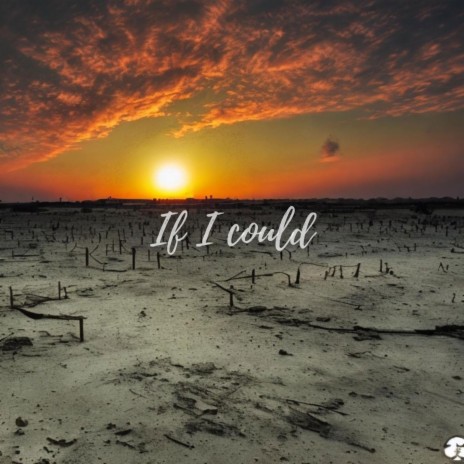 If I Could ft. Schillah | Boomplay Music
