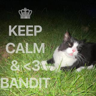 WE <3 BANDIT!