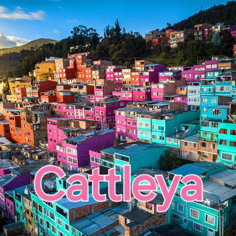 Cattleya ft. Tato Madrid | Boomplay Music