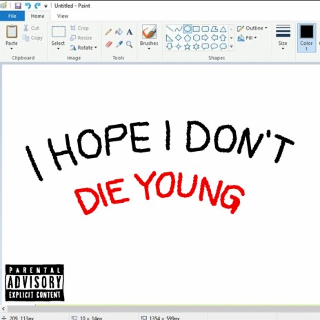 I Hope I Don’t Die Young | Boomplay Music