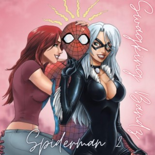 Spider-Man 2 lyrics | Boomplay Music