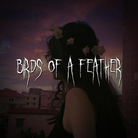 birds of a feather | Boomplay Music