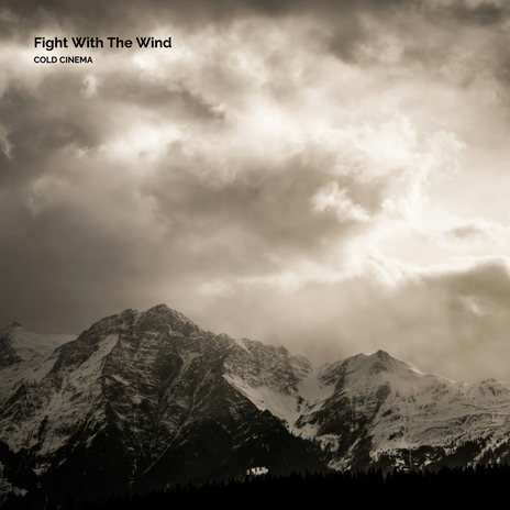 Fight With The Wind | Boomplay Music