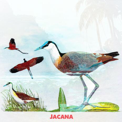 Jacana ft. Jiani | Boomplay Music