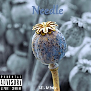 Needle