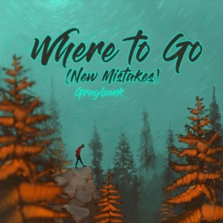 Where to Go (New Mistakes)