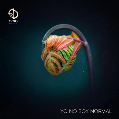 Yo No Soy Normal | Boomplay Music