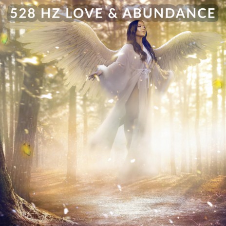 Prosperity Meditation Law Of Attraction 528Hz | Boomplay Music