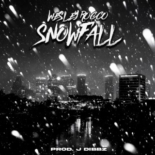 Snowfall ft. J Dibbz lyrics | Boomplay Music