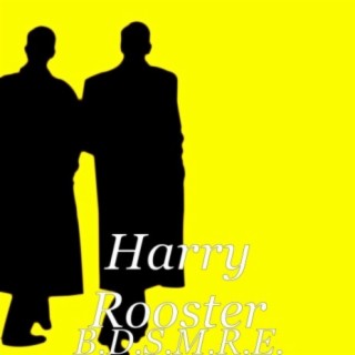 Harry Rooster