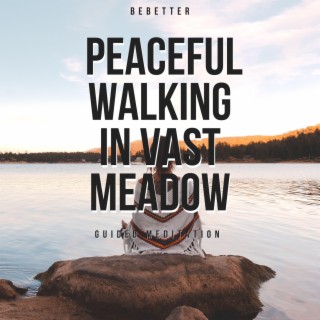 Guided Meditation Peaceful Walking in Vast Meadow