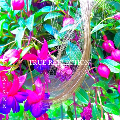 True Reflection | Boomplay Music