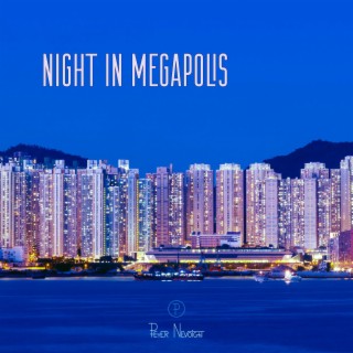 Night in Megapolis