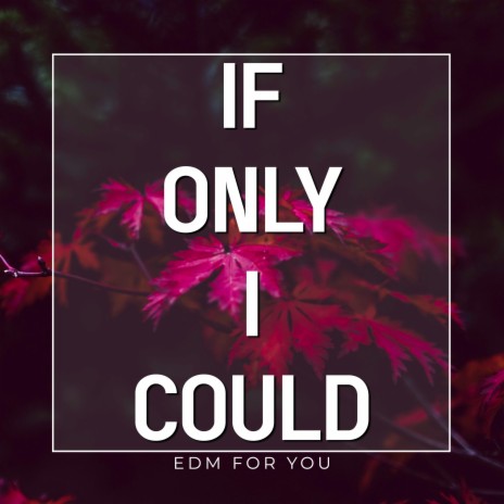 If Only I Could | Boomplay Music