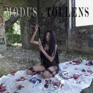 MODUS TOLLENS lyrics | Boomplay Music