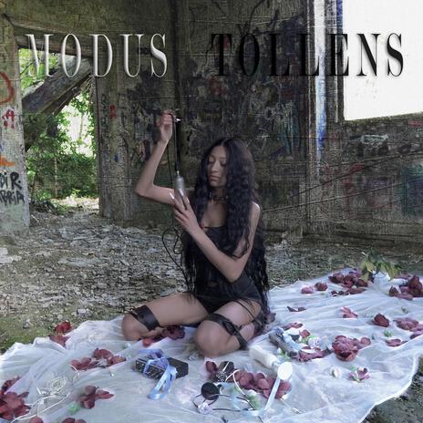 MODUS TOLLENS | Boomplay Music