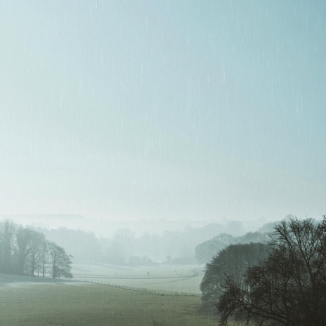 English Country Rain & Wildlife | Boomplay Music