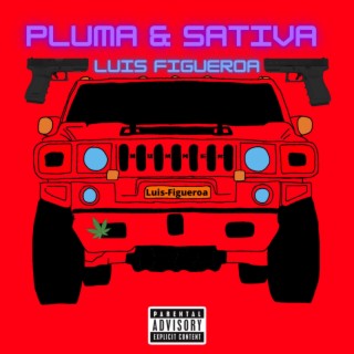 Pluma y Sativa