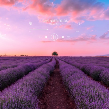 Lavender Fields | Boomplay Music