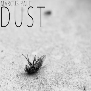 Dust