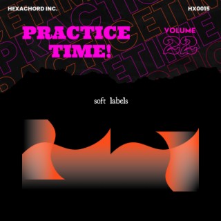 Practice Time! Vol. 22: Soft Labels