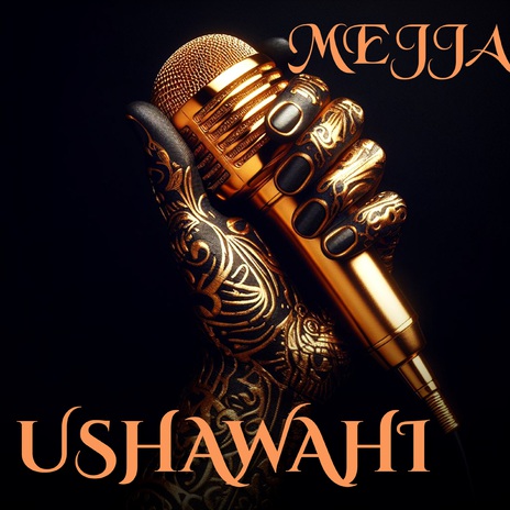 USHAWAHI | Boomplay Music