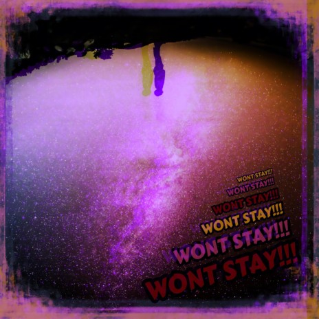 WONT STAY!!! | Boomplay Music