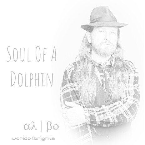 Soul of a Dolphin (Original Mix) | Boomplay Music