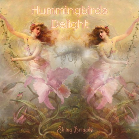 Hummingbirds Delight | Boomplay Music