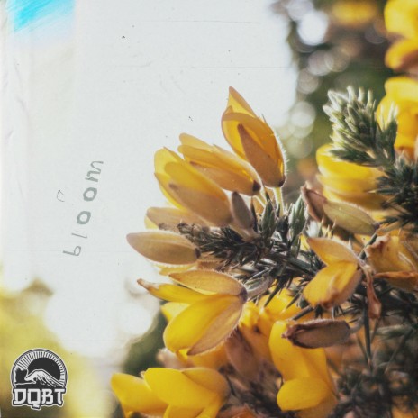 bloom | Boomplay Music