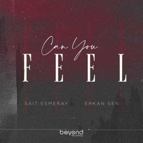 Can You Feel ft. Erkan Sen | Boomplay Music