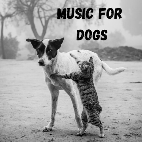 Canine Serenade ft. Music For Dogs Peace, Relaxing Puppy Music & Calm Pets Music Academy | Boomplay Music