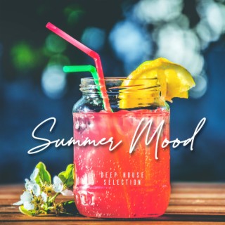 Summer Mood Deep House Selection