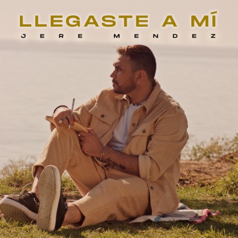 Llegaste A Mí | Boomplay Music