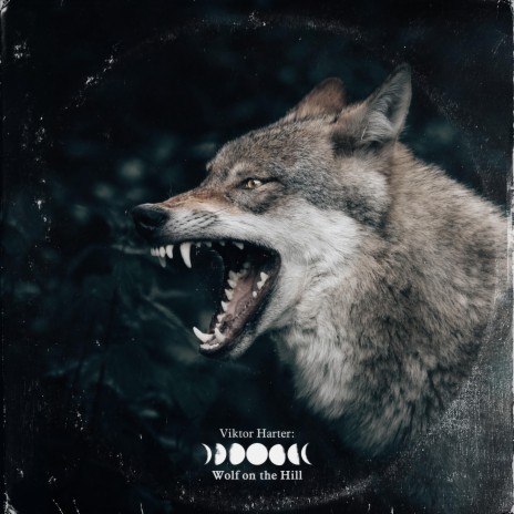 Wolf After Wool ft. MONARRÁ