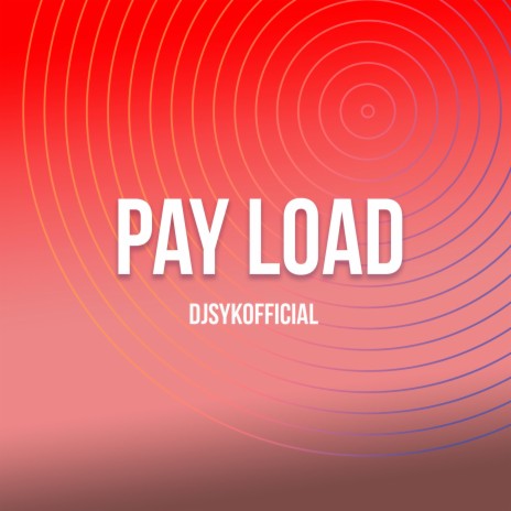 Pay Load
