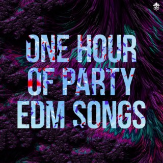 One Hour of Party EDM Songs