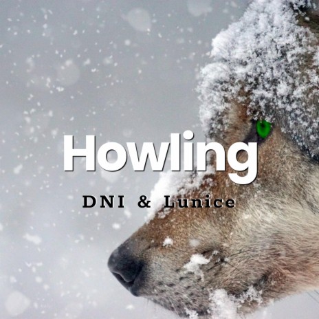 Howling (with Lunice)