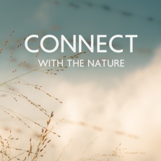 Connect Whit The Nature