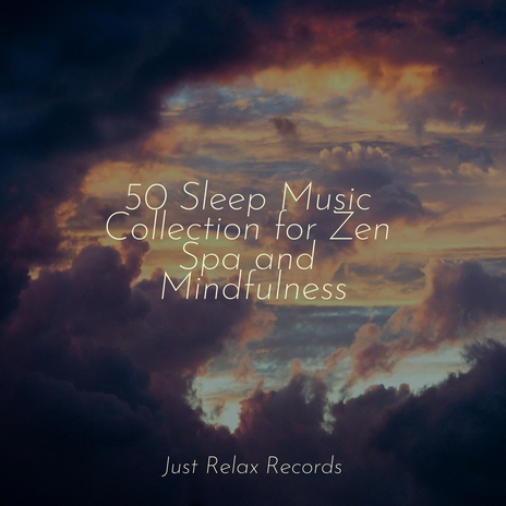 Whispers from Fading Seas ft. Relaxed Minds & Deep Sleep Meditation | Boomplay Music