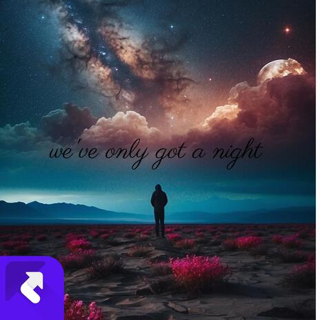 we've only got a night | Boomplay Music