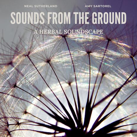 Sounds From The Ground ft. Amy Sartorel | Boomplay Music