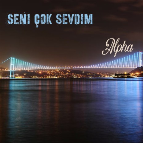 Seni çok sevdim | Boomplay Music